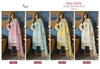 Rang Rasiya Color Edition 2024 Vol 3 By Shree Cotton Pakistani Suits Wholesale Shop In Surat
